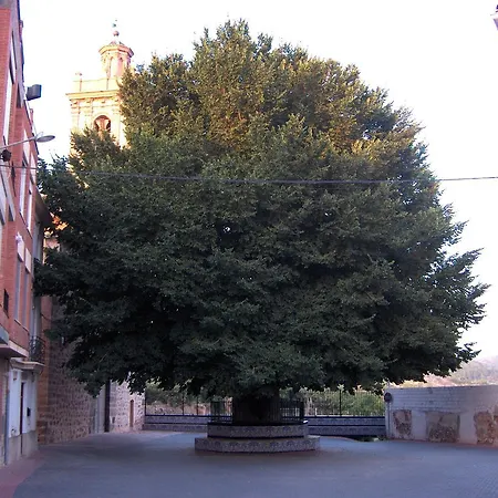 Rurales San Juan Castellnovo
